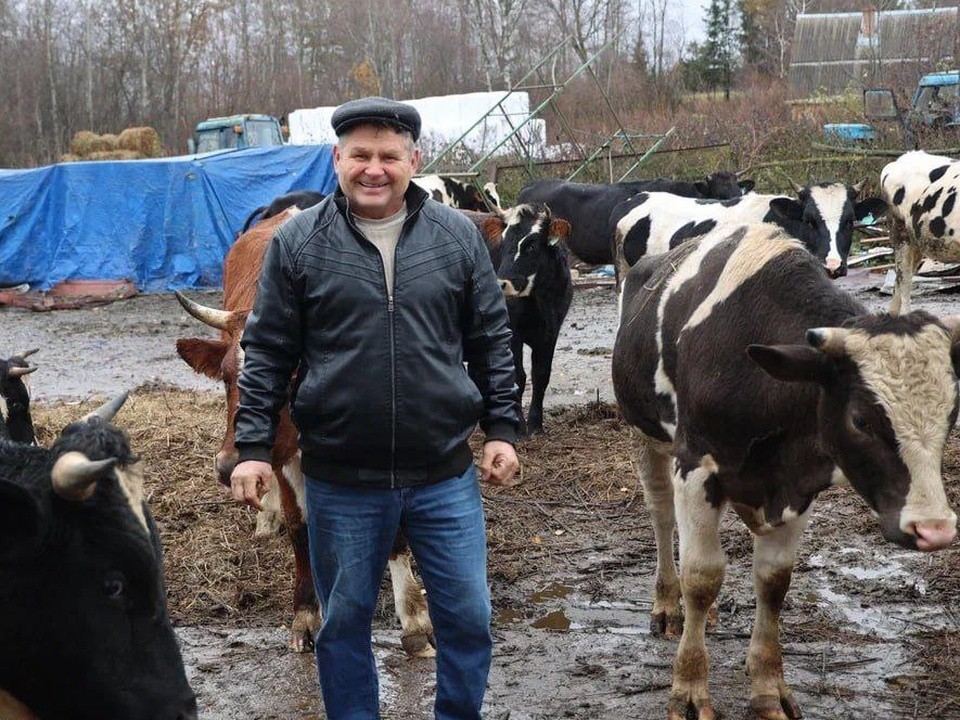 Выставка,мастер-классы и концерт: в Волоколамске отметят День работника сельского хозяйства