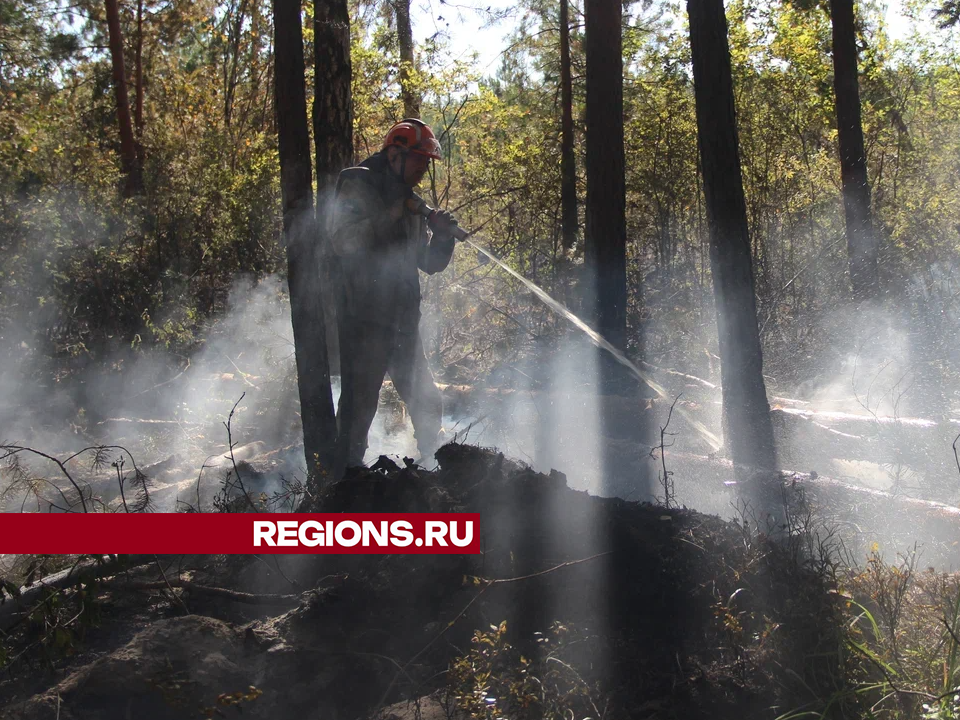 Более 10 часов потребовалось лесничим и спасателям, чтобы потушить пожар под Егорьевском