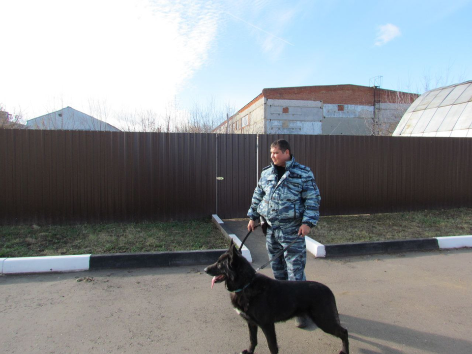 Серебряно-Прудский отдел полиции нуждается в кинологах