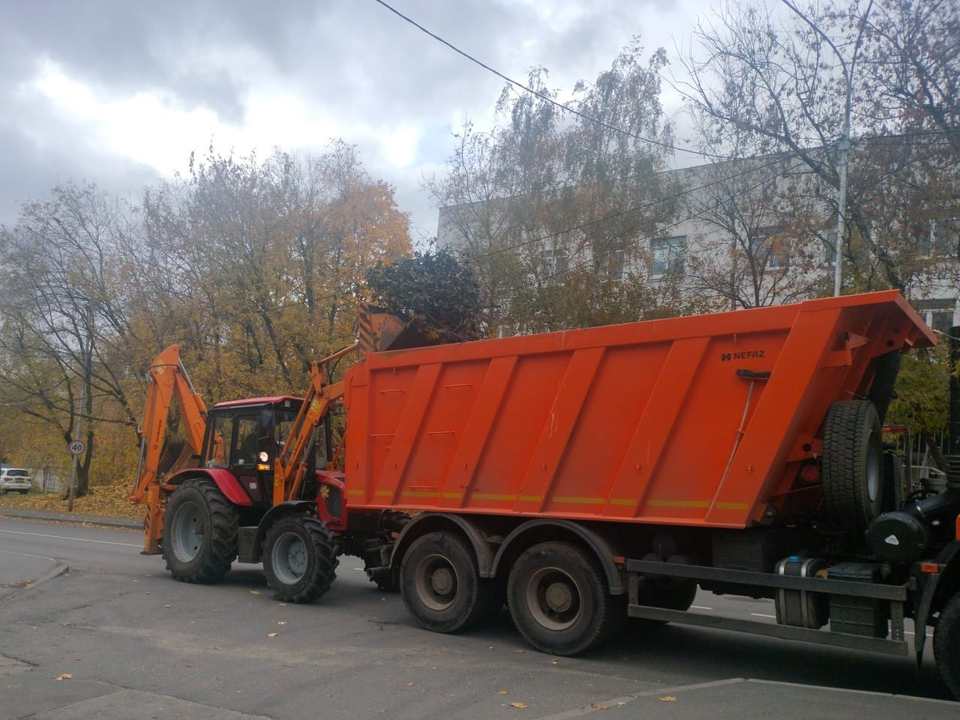 Последствия опиловки деревьев убрали во дворе дома после обращений дзержинцев