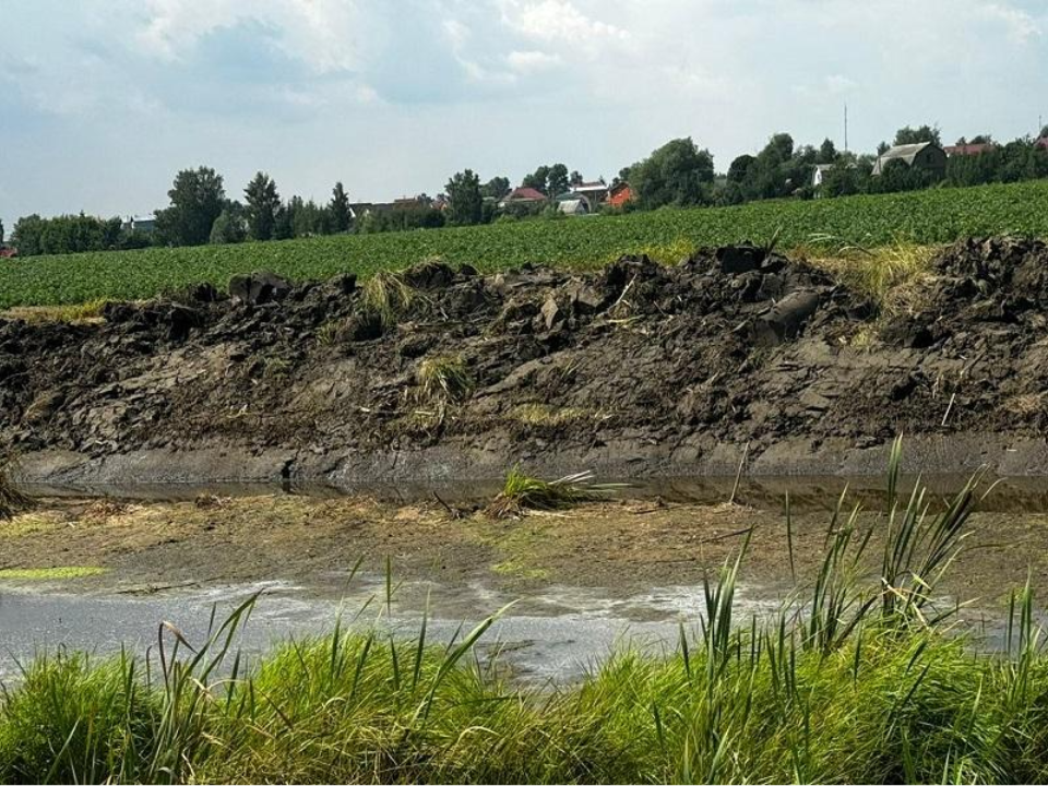 Владельцу участка в деревне Сычево грозит штраф за строительные отходы на берегу пруда