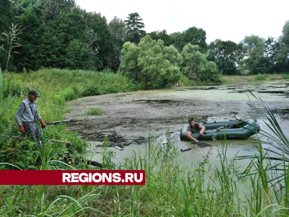 Началась расчистка исторического водоема у села Липицы