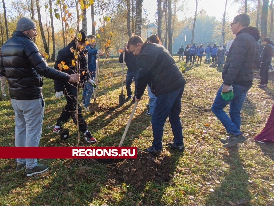 В лобненском парке «Река времени» жители высадили 120 деревьев