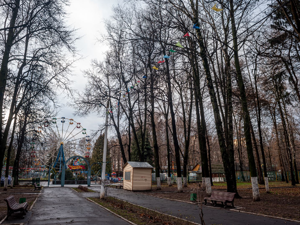 Опубликована подробная программа мероприятий в парках Дубны на всю неделю