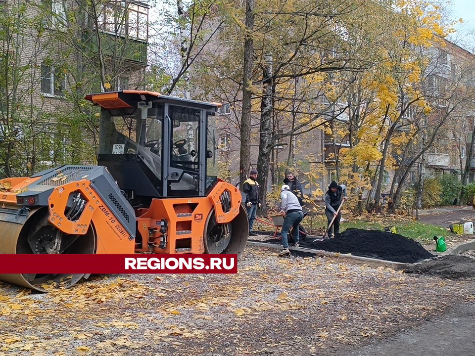 Работы по благоустройству двора на улице Дружбы в Лобне закончат на следующей неделе