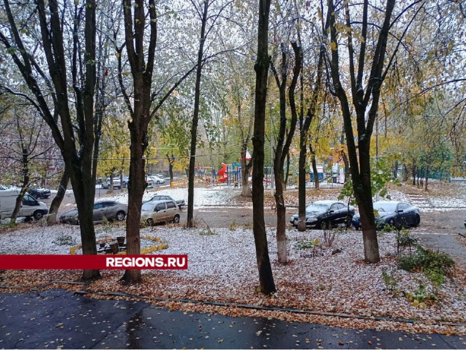 Первый снег и слякоть появились на улицах Домодедова