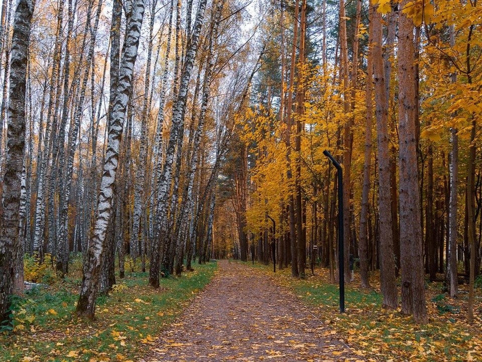 В пятницу в Звенигороде пасмурно, без дождя