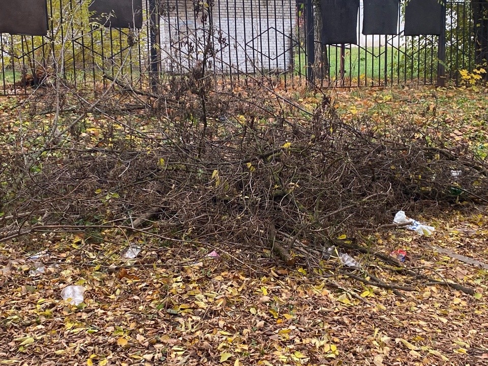 Кучу веток убрали на Парковой улице в Звенигороде по просьбе жителей