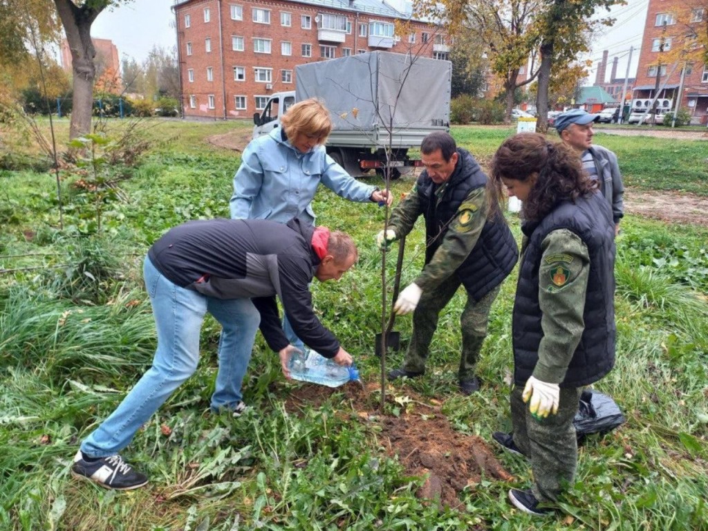 Десять молодых лип украсили улицы Карла Маркса и Пролетарская в Запрудне