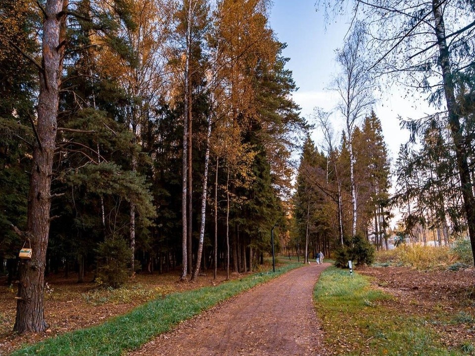 В Звенигороде во вторник облачно, небольшой дождь