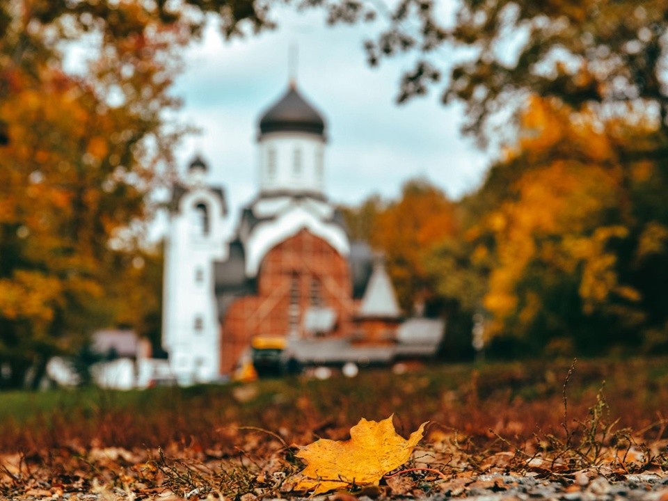 Облачно, местами пройдут дожди: погода в Подмосковье на 24 октября