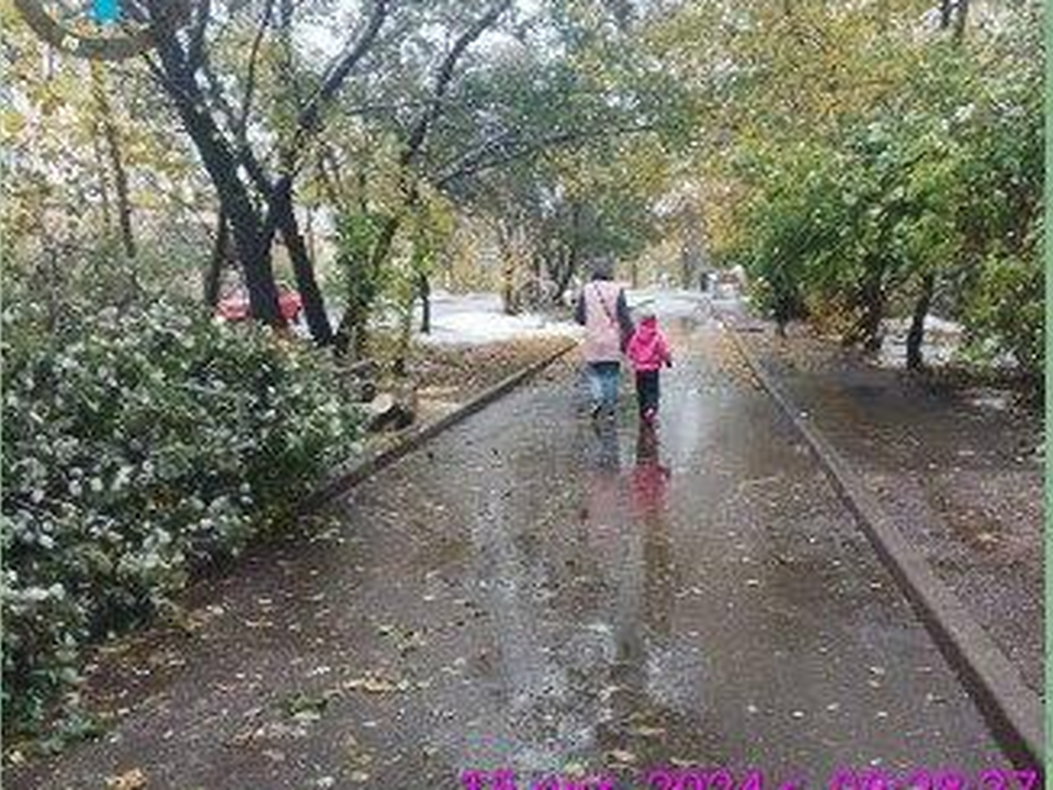 На улицах Красногорска оперативно устранили последствия непогоды