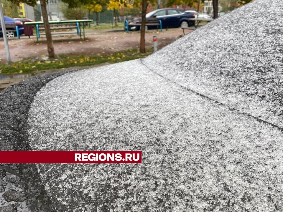 Жители Химок поделились кадрами первого снега