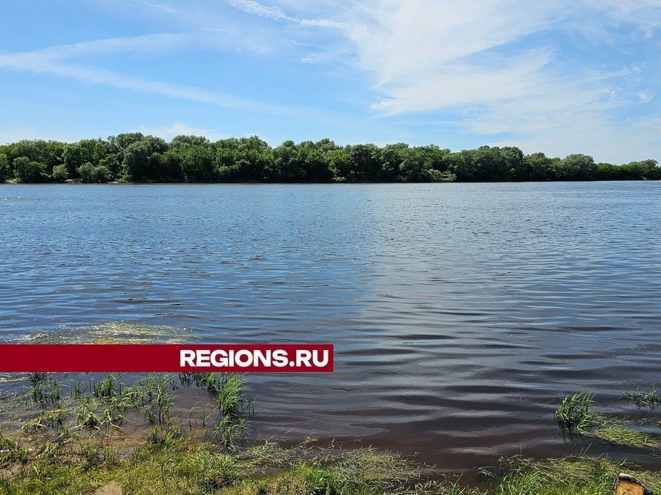 В областном голосовании по очистке водоемов от округа Луховицы лидирует озеро Исток