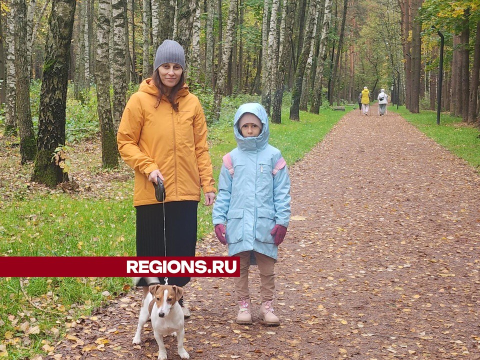 Зона барбекю, аллеи и выставочные павильоны появятся в Супоневском лесопарке в Звенигороде