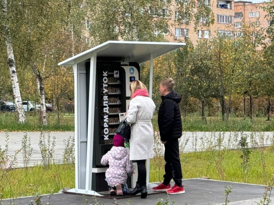 Утки из Лобни теперь питаются правильно —  полезный корм для них можно купить в автомате
