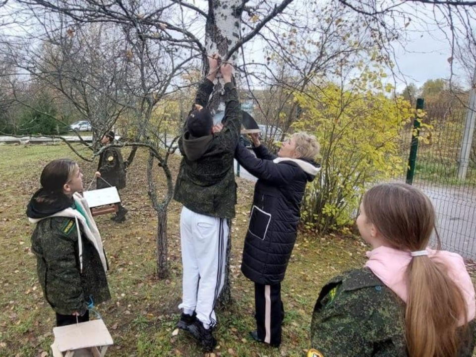 Шведский стол для пернатых: школьники из Лотошино создали кормушки для птиц