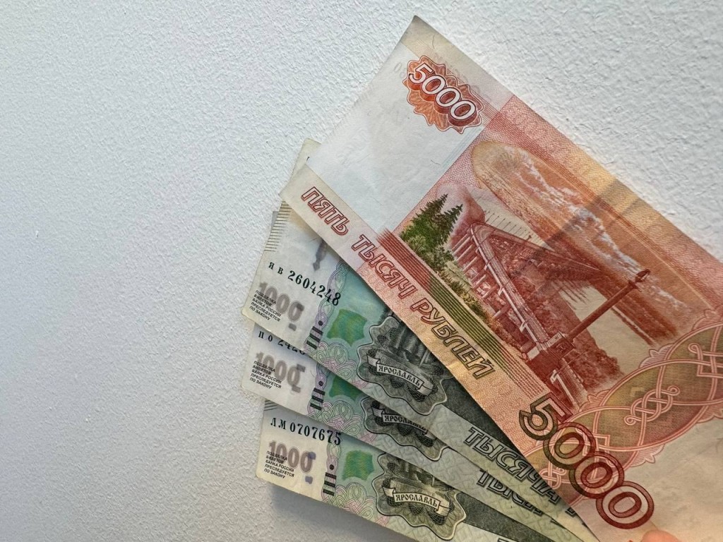 Женщина фиктивно устроила родственницу на работу и получала ее зарплату