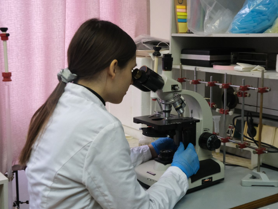 Модернизированная лаборатория в Быково усилит борьбу с вредителями и болезнями растений