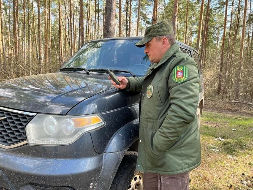 Жителю Волоколамска грозит внушительный штраф за кабана, которого он умышленно сбил на снегоходе