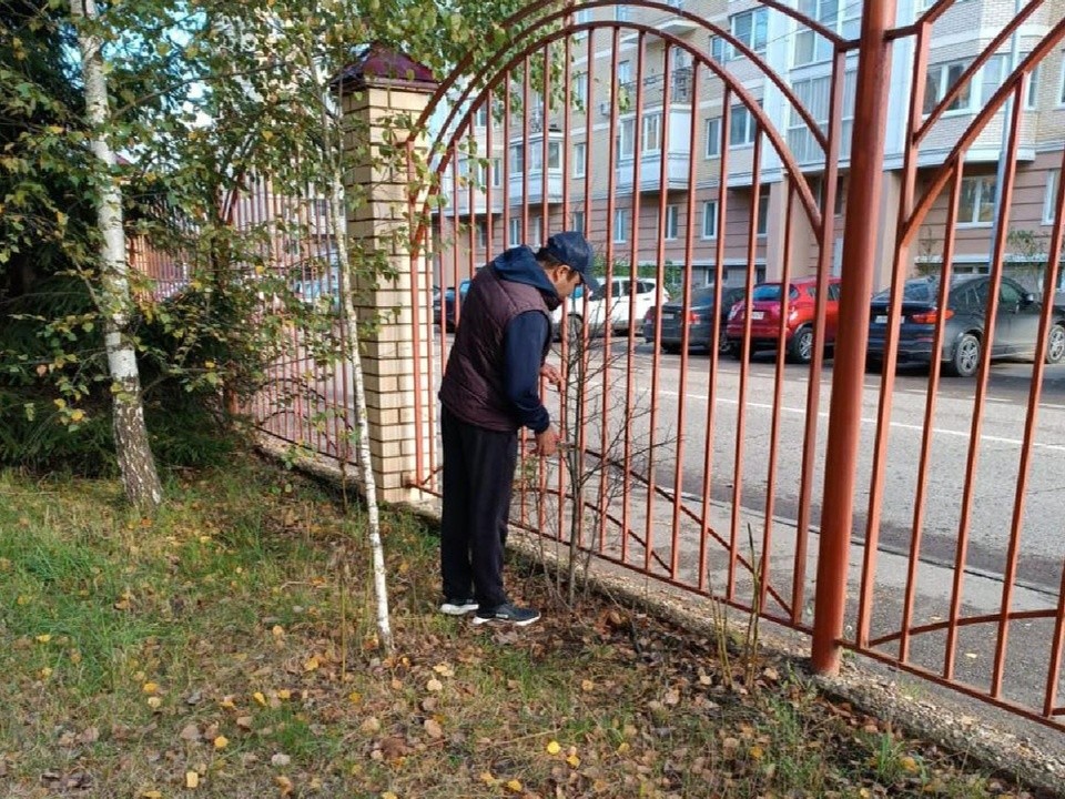 В Верхнем Посаде на улице Садовой удалили сухостой во дворе по просьбе жителей