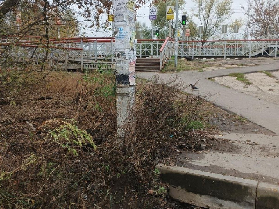 Территорию возле железной дороги в селе Конобеево привели в порядок