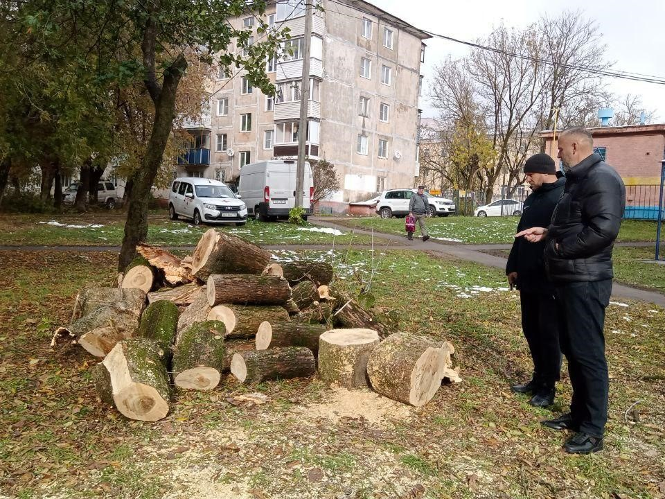 Поваленные непогодой деревья убирают в Чехове