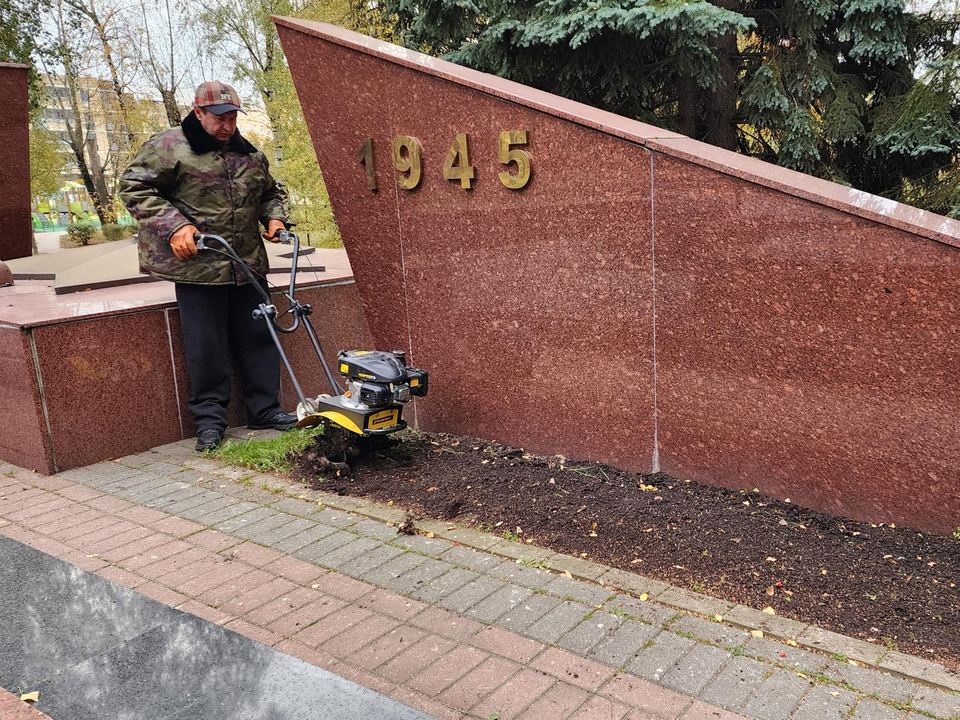 Мастер по озеленению из Дзержинского рассказала, почему тюльпаны сажают осенью