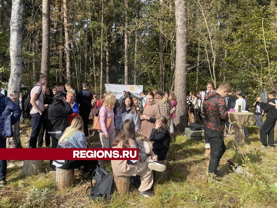 Старшеклассники Власихи высадили 17 тысяч елей