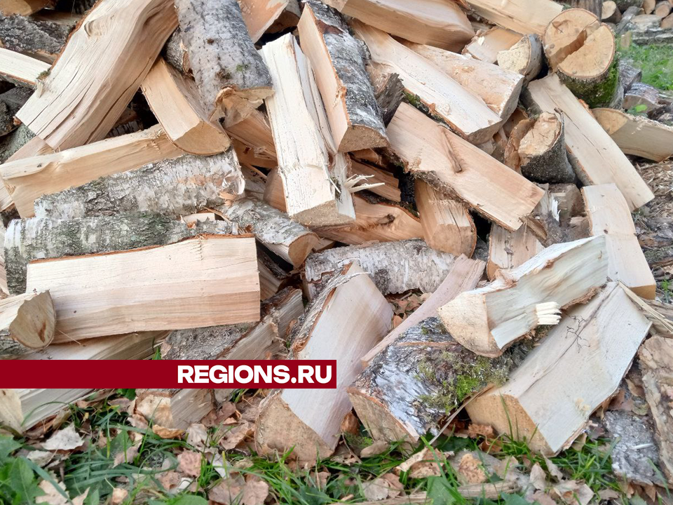 Егорьевцам рассказали, как можно подать заявку на заготовку дров