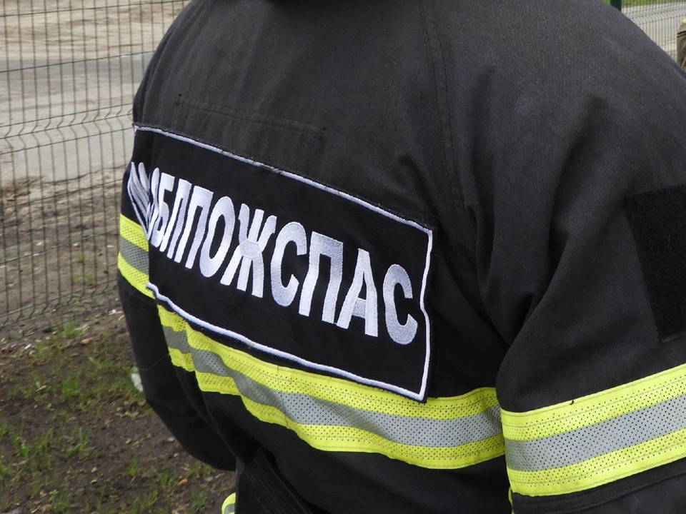 Работники ГКУ МО «Мособлпожспас» освободили двух собак, которые провалились в канализационные колодцы в Подмосковье