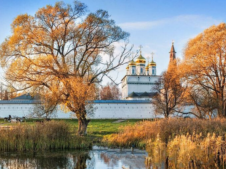 Место силы и волшебный дуб: зачем туристы приезжают в Иосифо-Волоцкий монастырь под Волоколамском