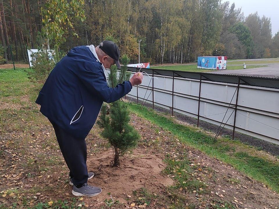 В спортивном центре под Дмитровом посадили молодые сосны