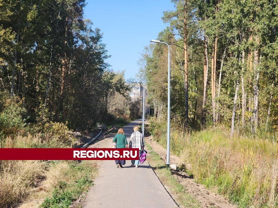 В Ликино-Дулеве установили новые линии освещения