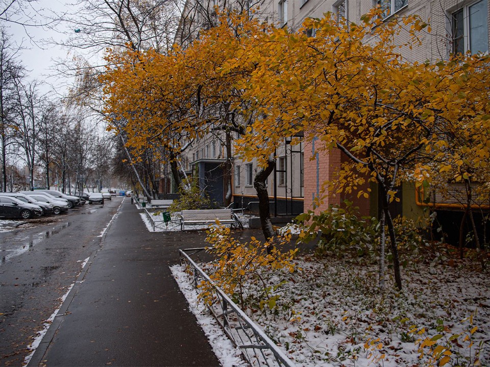 Дождь и мокрый снег ожидаются на неделе в Долгопрудном