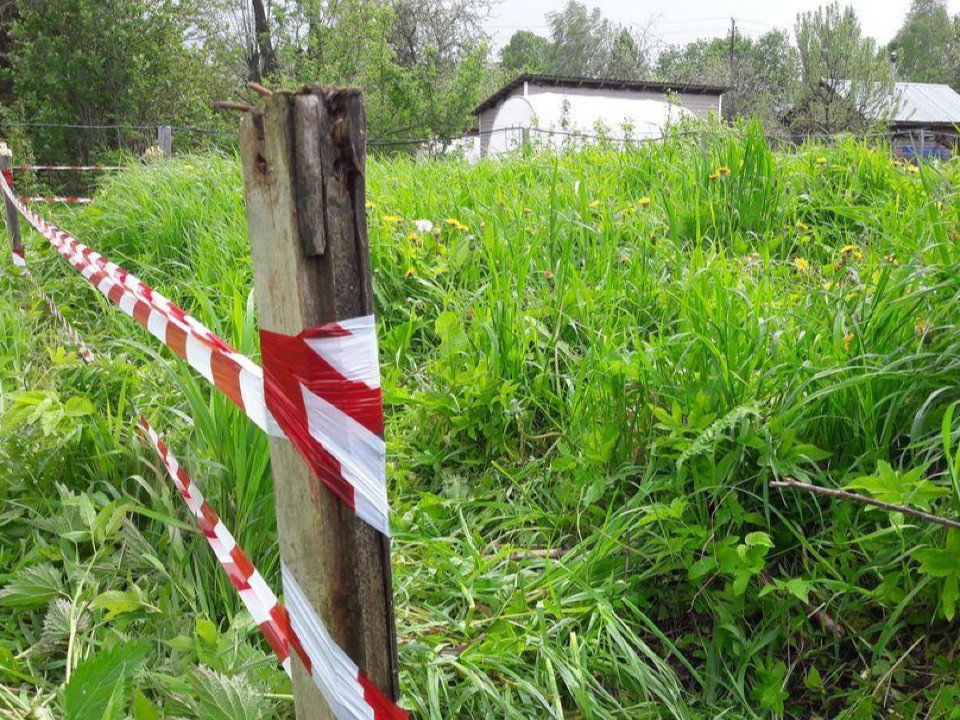 Онлайн-услугой по утверждению схемы участка в Подмосковье воспользовались 650 раз