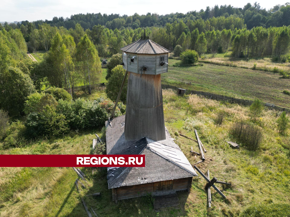 Деревянные шедевры под Истрой сняли с коптера