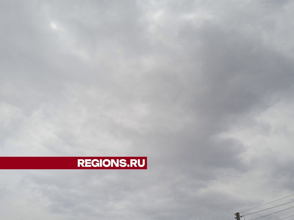 Циклон наступает: жуковчан предупредили о сильном ветре
