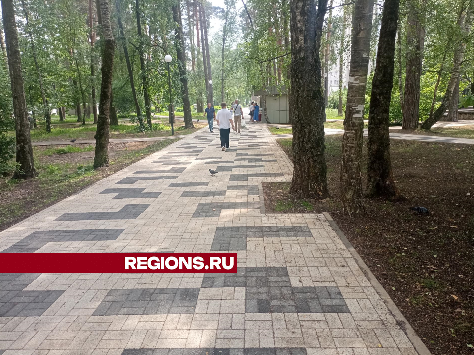 Пешеходные тропы и деревянные беседки обустроили в лесу у торгового центра «Слава» в Протвине