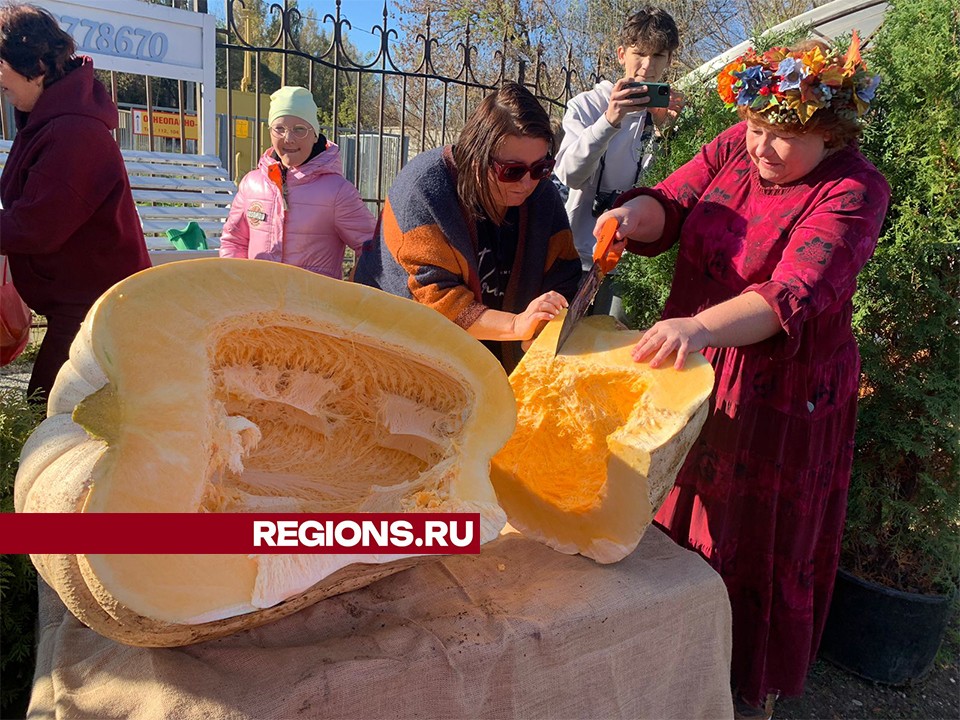 Садовод поделилась гигантской тыквой с жителями Звенигорода