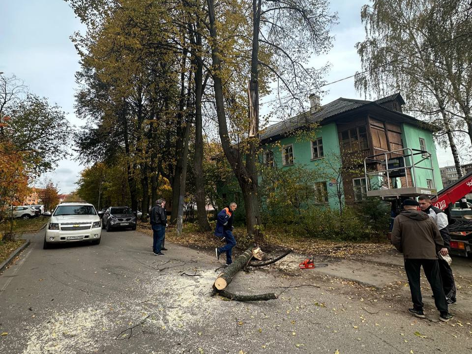 Коммунальщики спилили упавшее дерево на Пионерской улице, которое повредило автомобиль