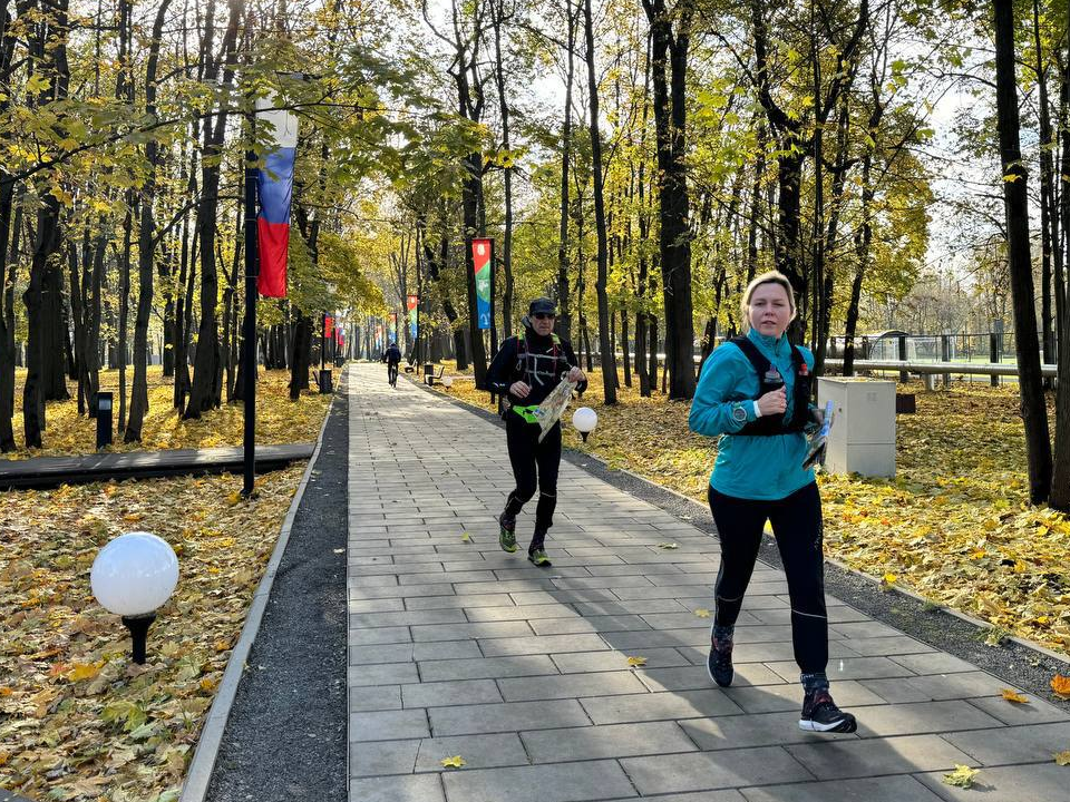 Облачная погода без осадков ожидается в Лосино-Петровском 21 октября