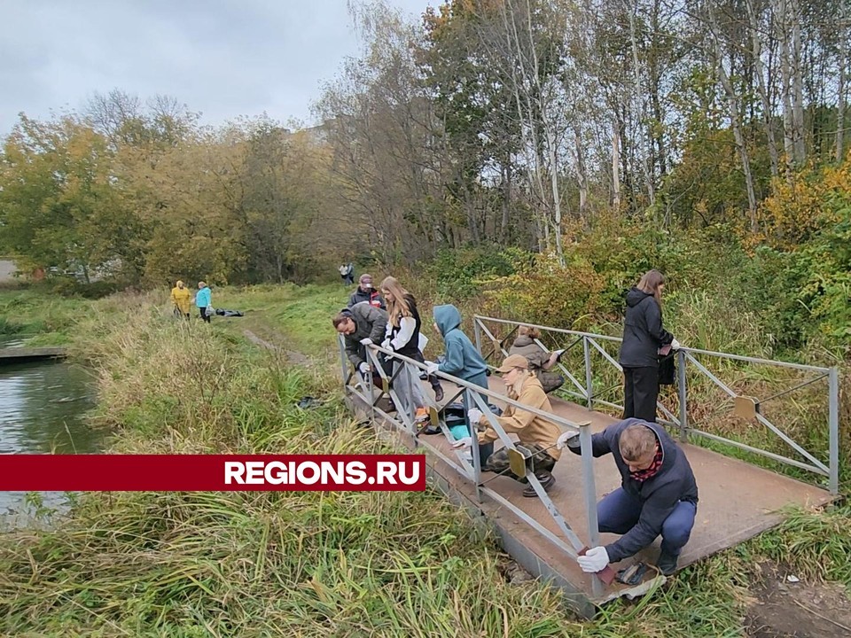 Жители поселка Старый Городок благоустроили заросший пруд