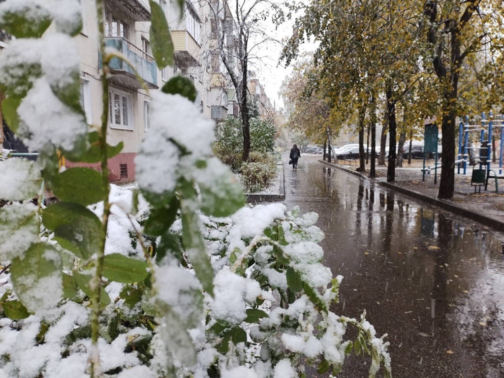 Снегопад может пойти в Подмосковье 25 октября
