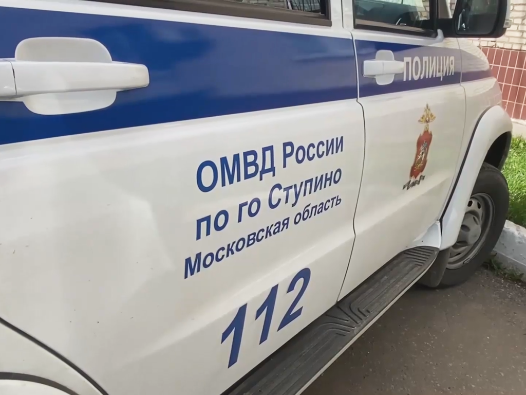 Серийных воров, причастных к краже в Михневе, задержали в Новосибирске