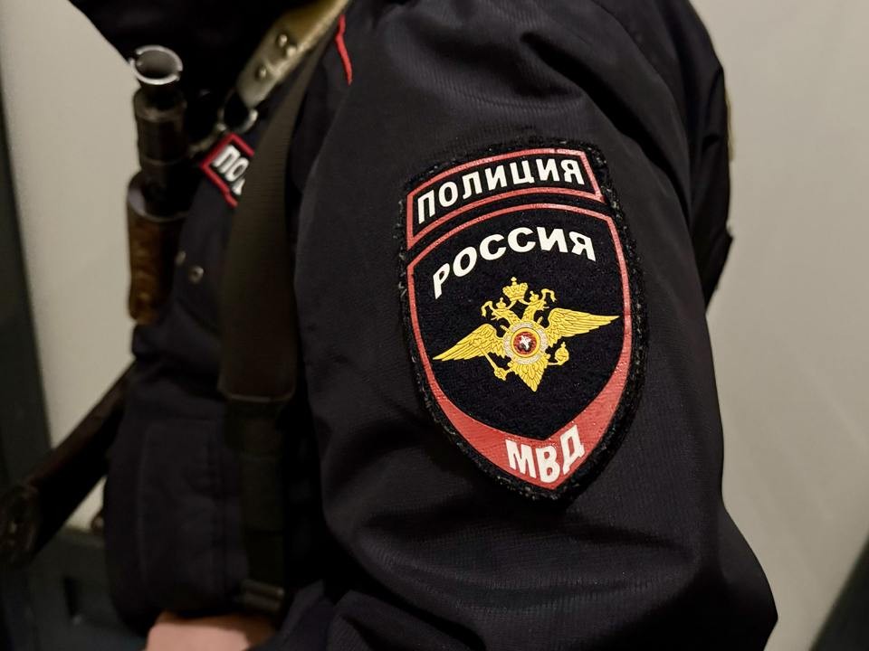 Химкинские полицейские задержали преступника, который украл телефон у москвички