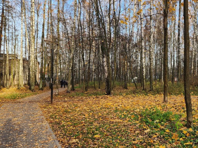 Стало известно, когда Дед Мороз поселится в парке Ногинска