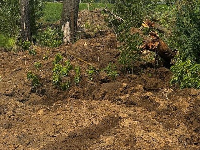 Компания из Химок получила предостережение от Минэкологии за свалку отходов грунта