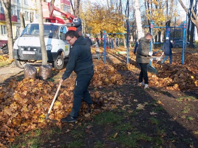 Листья канадских кленов убрали во дворах в микрорайоне Цемгигант