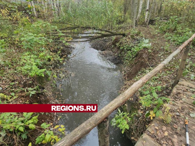 Волонтеры Долгопрудного и Мытищ собрали более 100 пакетов мусора на берегу реки Мерянки